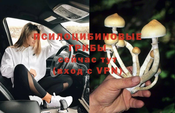 дмт Алексеевка